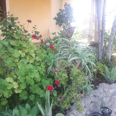 A Turri And Restaurant