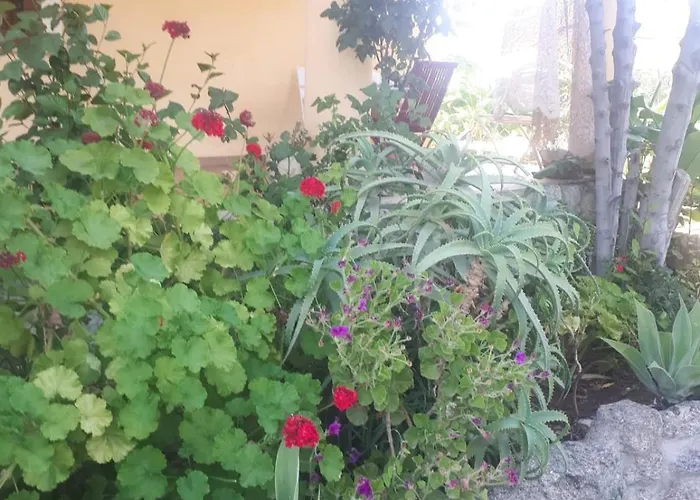 A Turri And Restaurant